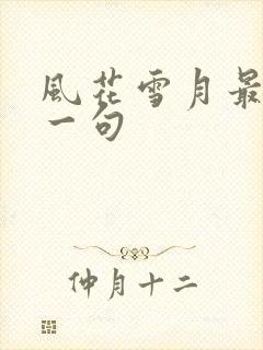 风花雪月最佳下一句封面