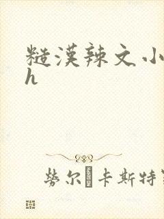 糙汉辣文小说纯h