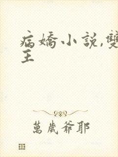 病娇小说,双男主