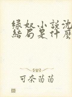 绿奴小说沈哥大结局是什么