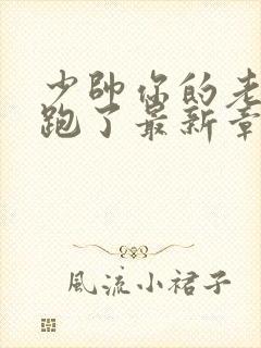 少帅你的老婆又跑了最新章节免费阅读