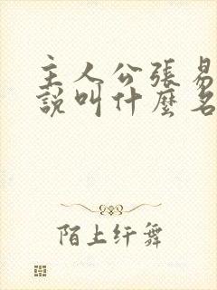 主人公张易的小说叫什么名字