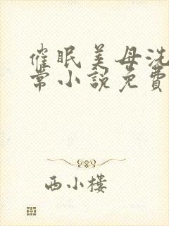 催眠美母洗脑日常小说免费阅读封面