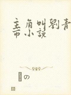 主角叫刘青的都市小说