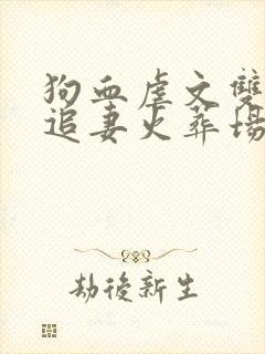 狗血虐文双男主追妻火葬场封面