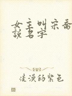 女主叫宋乔的小说名字封面