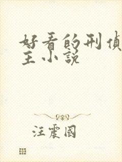 好看的刑侦双男主小说