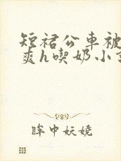 短裙公车被强好爽h吃奶小说