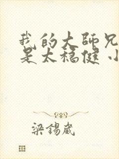 我的大师兄实在是太稳健 小说