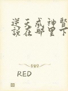 逆天成神贤君小说在哪里下载封面