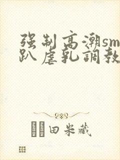 强制高潮sm跪趴虐乳调教小说封面