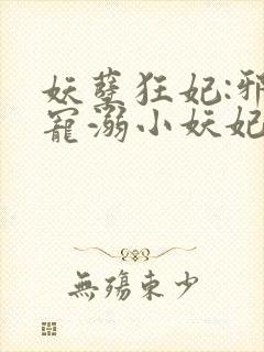 妖孽狂妃:邪君宠溺小妖妃