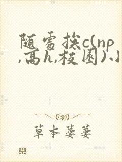 随处挨c(np,高h,校园)小说