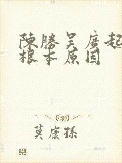 陈胜吴广起义的根本原因