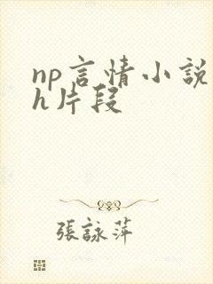 np言情小说高h片段
