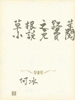 草根之路叶泽涛小说免费阅读全