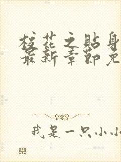 校花之贴身高手最新章节免费阅读封面