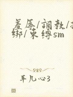 羞辱/调教/捆绑/束缚sm