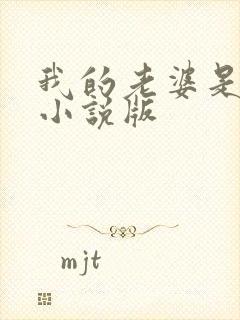 我的老婆是总裁小说版