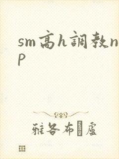 sm高h调教np封面