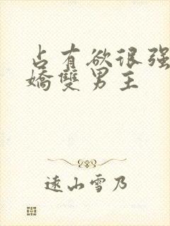 占有欲很强的病娇双男主