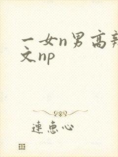 一女n男高辣h文np