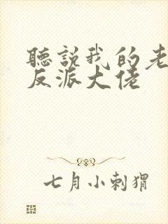 听说我的老婆是反派大佬封面