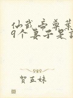 仙武帝尊叶辰19个妻子是谁