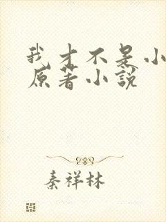 我才不是小可怜原著小说封面