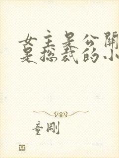 女主是公关男主是总裁的小说