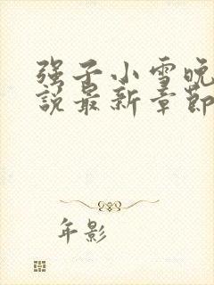 强子小雪晚晴小说最新章节阅读