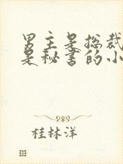 男主是总裁女主是秘书的小说