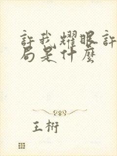 许我耀眼许妍结局是什么封面