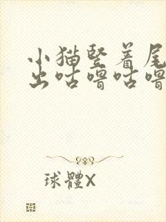 小猫竖着尾巴发出咕噜咕噜的声音