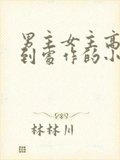 男主女主高中就到处作的小说