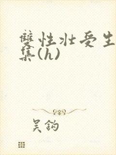 双性壮受生子合集(h)