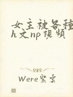 女主被各种调教h文np视频