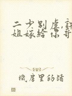 二少别虐,许小姐嫁给你哥了下载