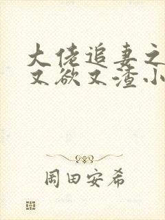 大佬追妻之夫人又欲又渣小说完整版