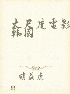 大尺度电影推荐韩国封面