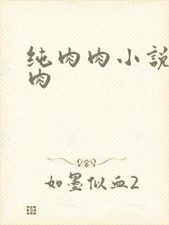 纯肉肉小说高h肉