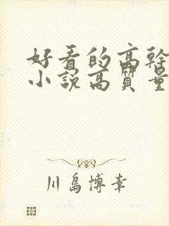 好看的高干言情小说高质量文笔好封面