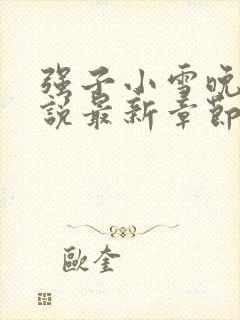 强子小雪晚晴小说最新章节更新封面