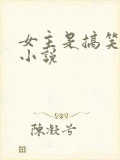 女主是搞笑女的小说