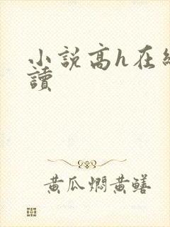 小说高h在线阅读