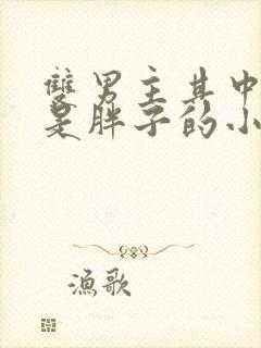 双男主其中一个是胖子的小说