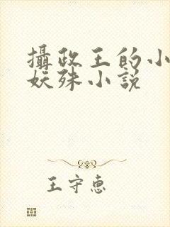 摄政王的小闲妻妖殊小说封面