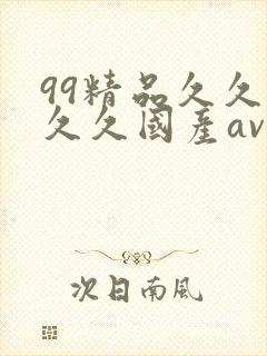 99精品久久久久久国产av