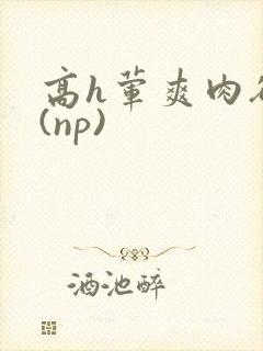 高h荤爽肉欲文(np)