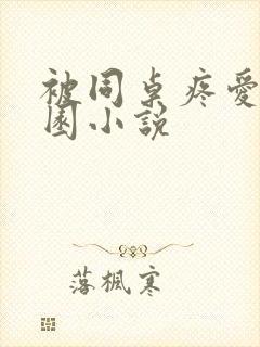 被同桌疼爱的校园小说封面